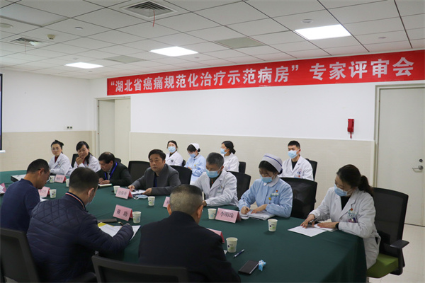 我院肿瘤血液科“癌痛规范化治疗示范病房”创建迎来省级评审检查 我院肿瘤血液科“癌痛规范化治疗示范病房”创建迎来省级评审检查