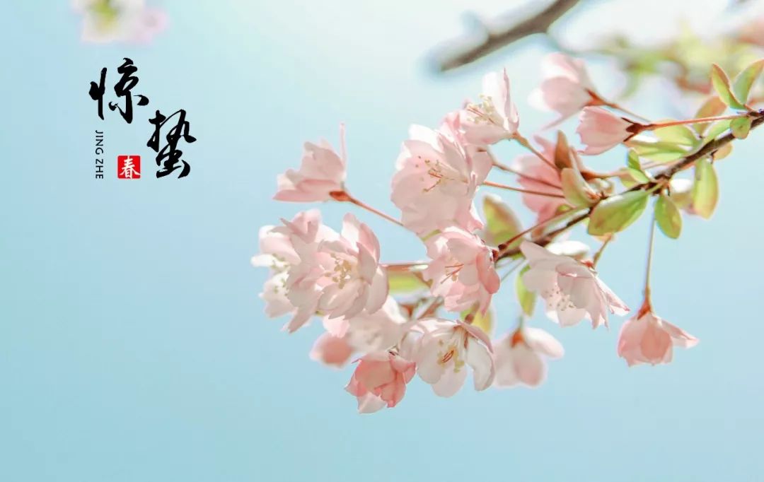 惊蛰丨中医提醒这样做！