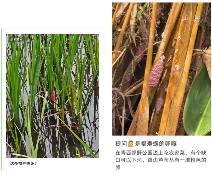 wechat_2026-04-13_171556_643.png wechat_2026-04-13_171556_643.png