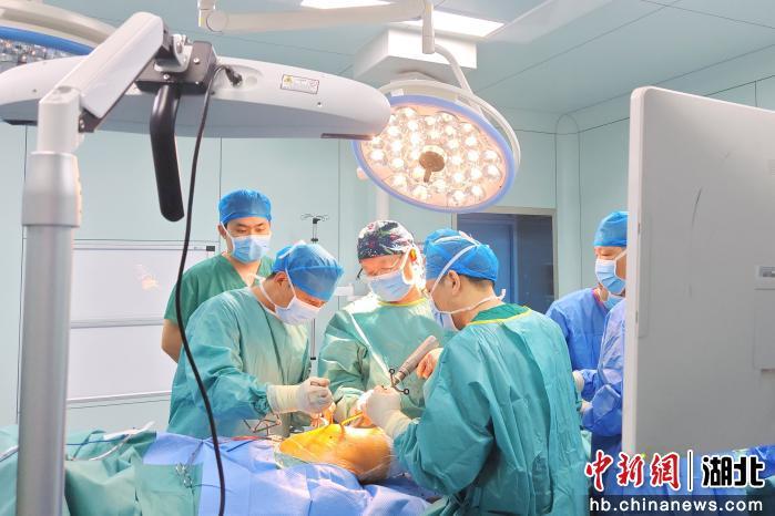 中国新闻网 | 襄阳市第六人民医院完成多例高精准全髋关节置换术 中国新闻网 | 襄阳市第六人民医院完成多例高精准全髋关节置换术